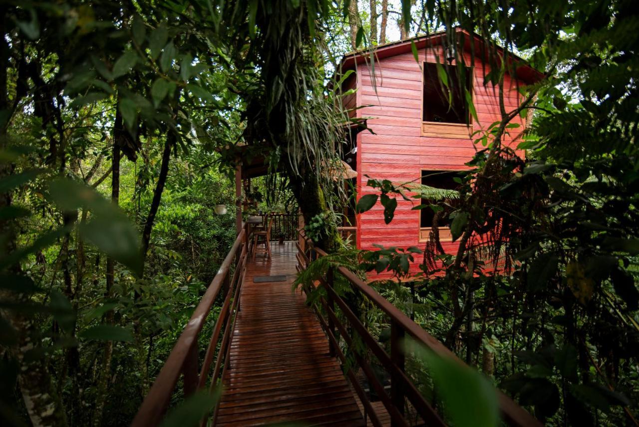 Tominejo Ecolodge - Casas En Los Arboles Нейра Экстерьер фото
