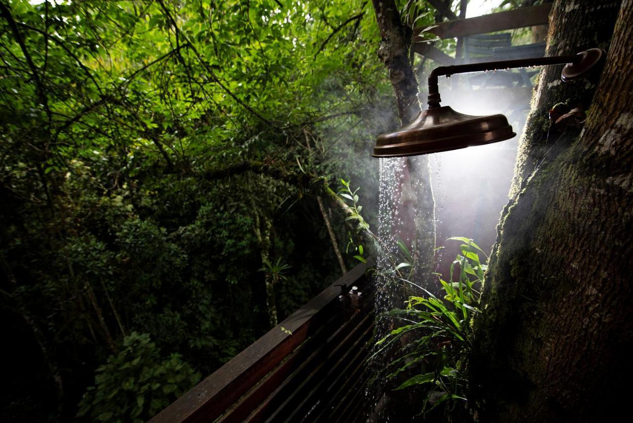 Tominejo Ecolodge - Casas En Los Arboles Нейра Экстерьер фото