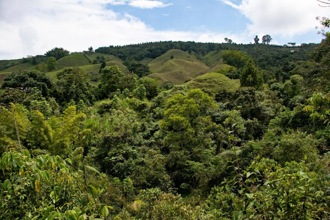 Tominejo Ecolodge - Casas En Los Arboles Нейра Экстерьер фото