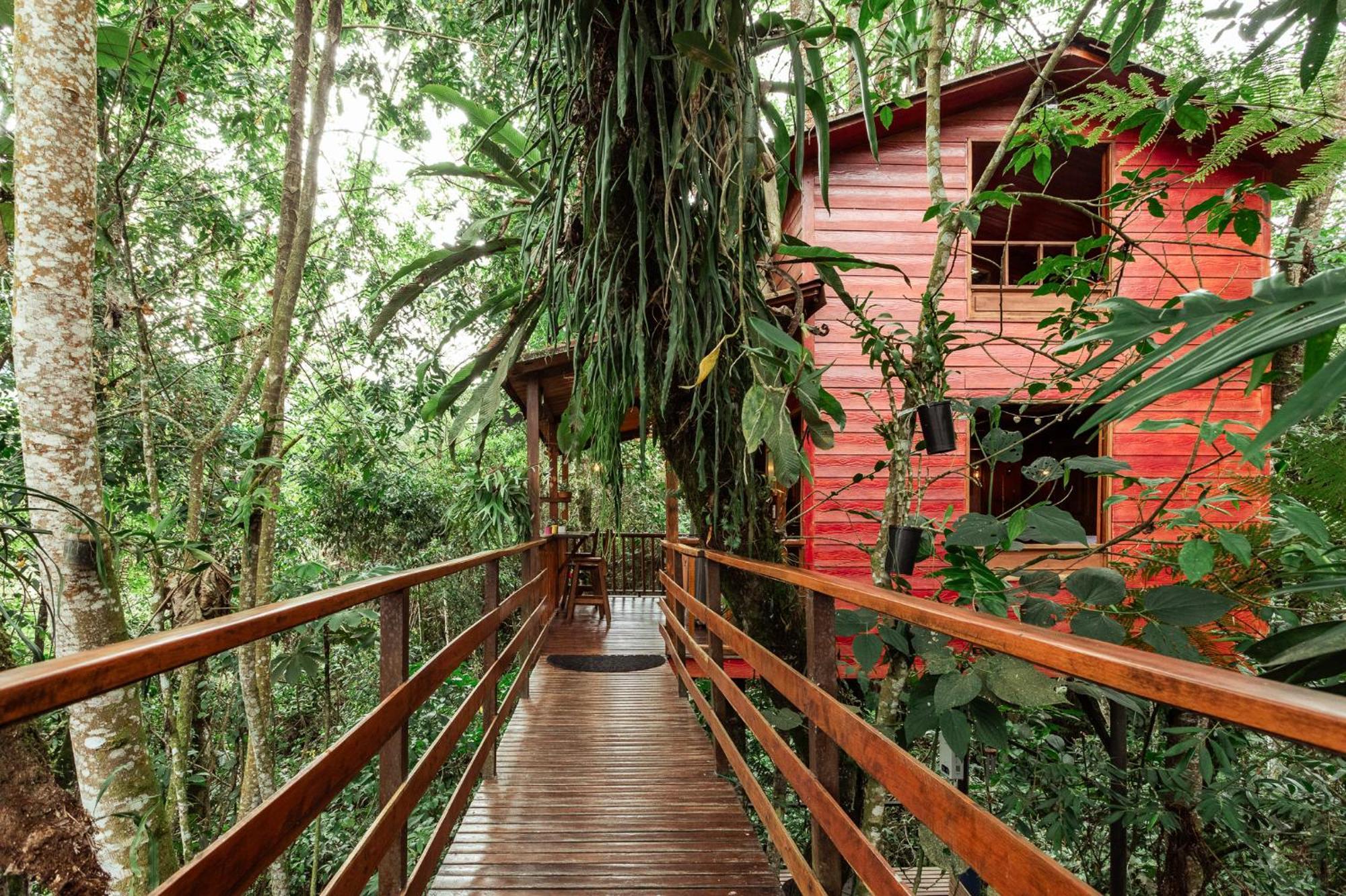 Tominejo Ecolodge - Casas En Los Arboles Нейра Экстерьер фото