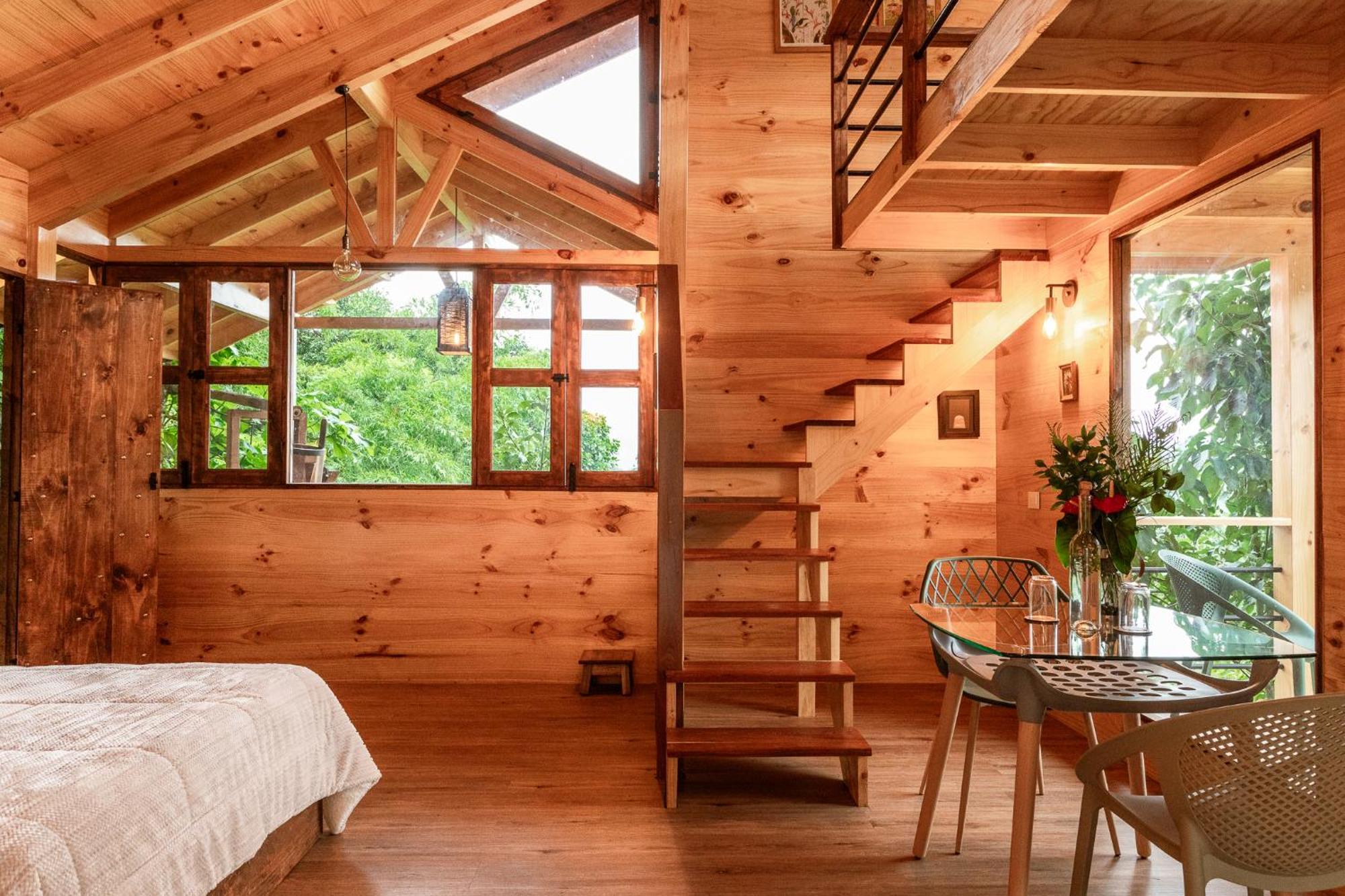Tominejo Ecolodge - Casas En Los Arboles Нейра Экстерьер фото