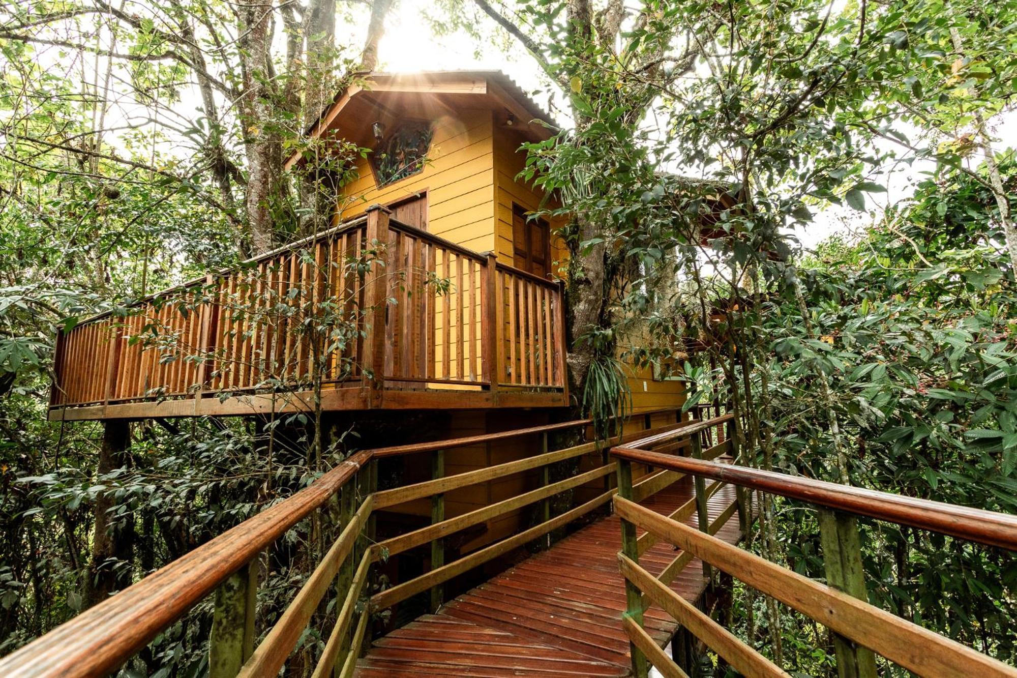 Tominejo Ecolodge - Casas En Los Arboles Нейра Экстерьер фото
