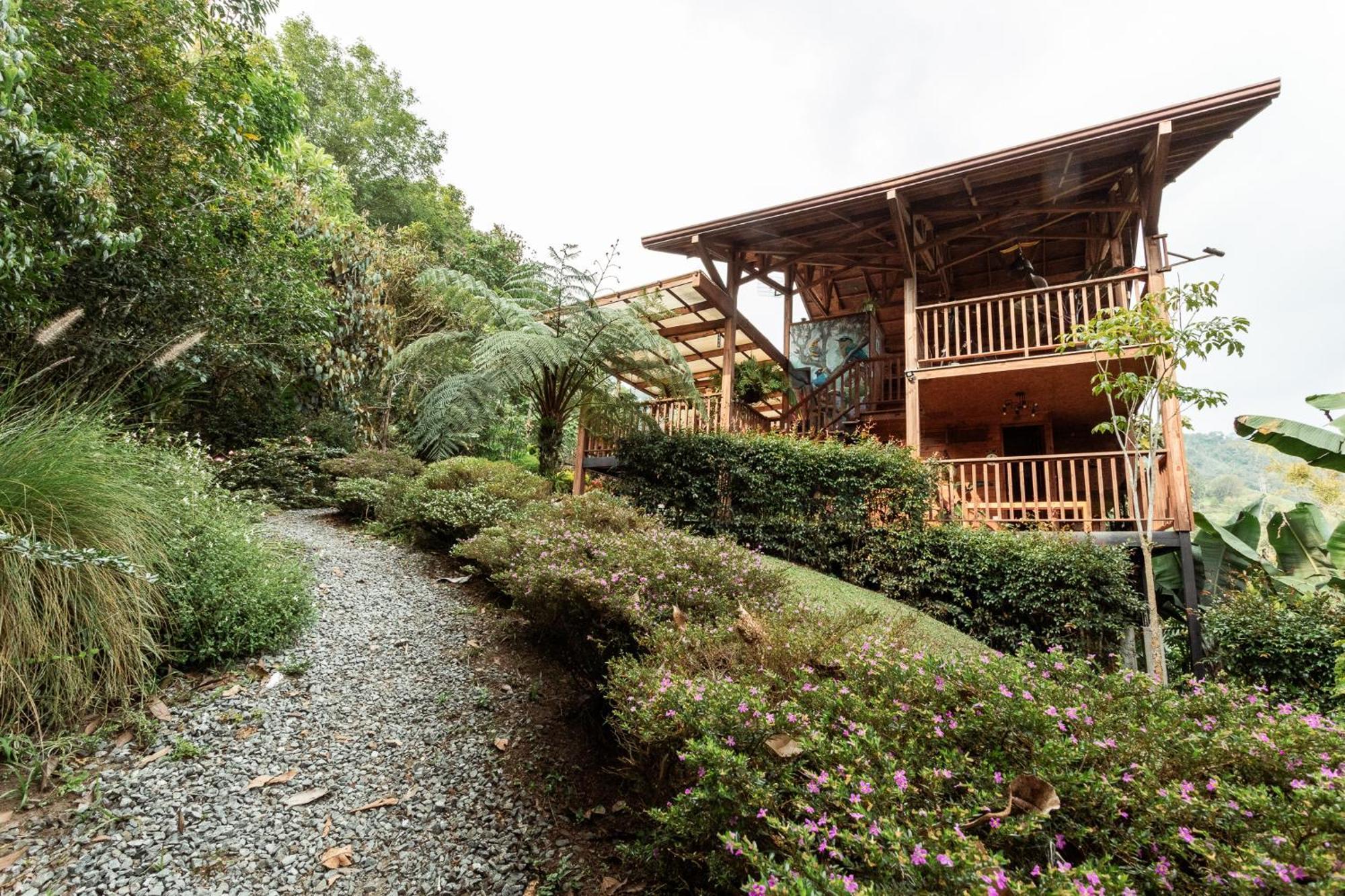 Tominejo Ecolodge - Casas En Los Arboles Нейра Экстерьер фото